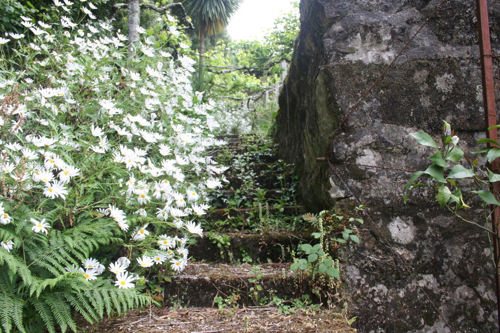 Quinta Das Leiras Santo Tirso Kültér fotó
