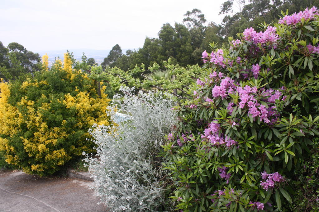 Quinta Das Leiras Santo Tirso Kültér fotó