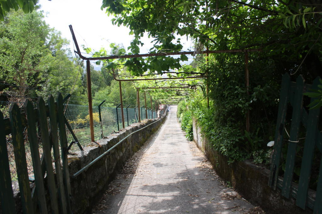 Quinta Das Leiras Santo Tirso Kültér fotó