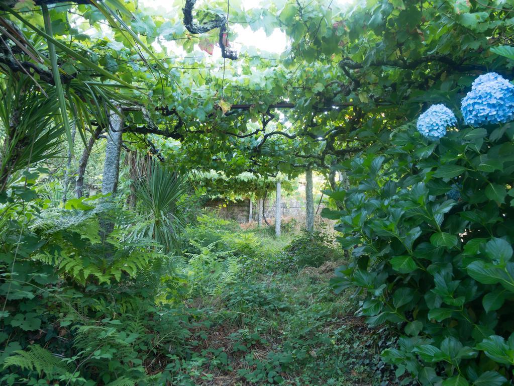 Quinta Das Leiras Santo Tirso Kültér fotó