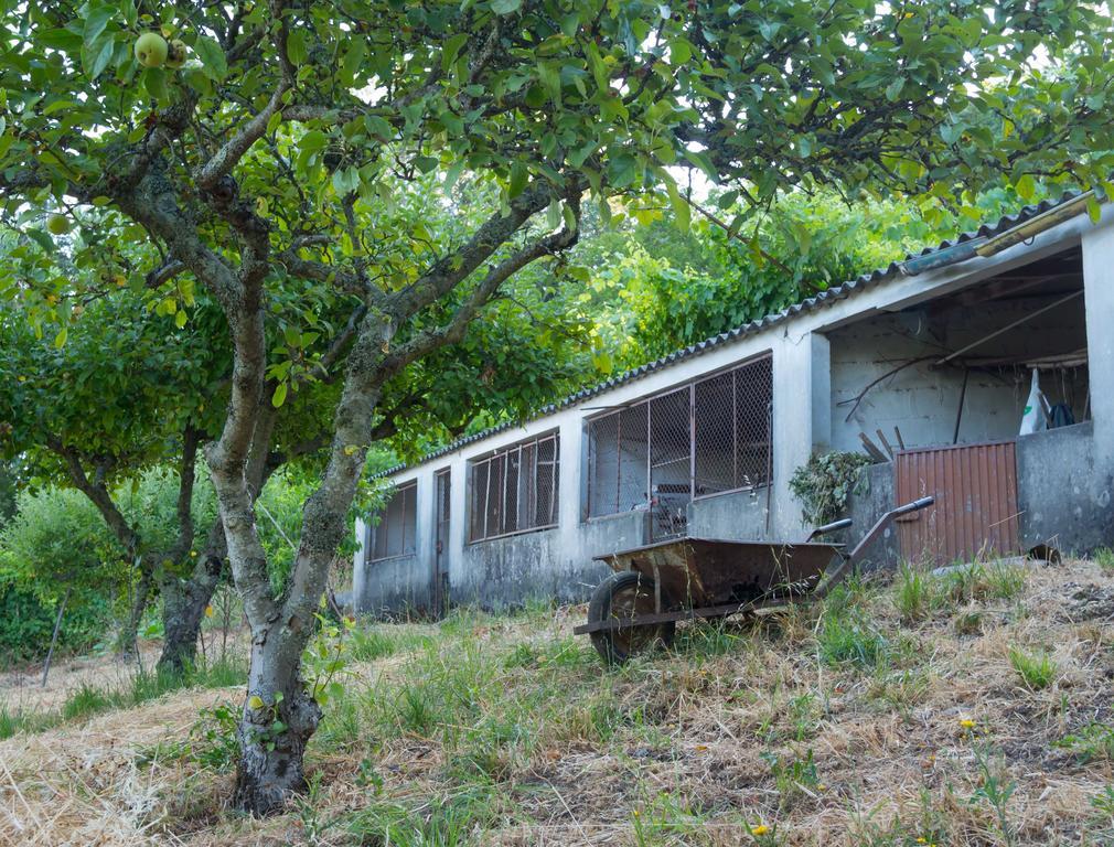 Quinta Das Leiras Santo Tirso Kültér fotó