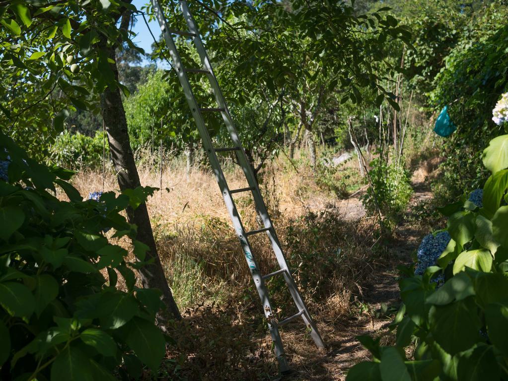Quinta Das Leiras Santo Tirso Kültér fotó