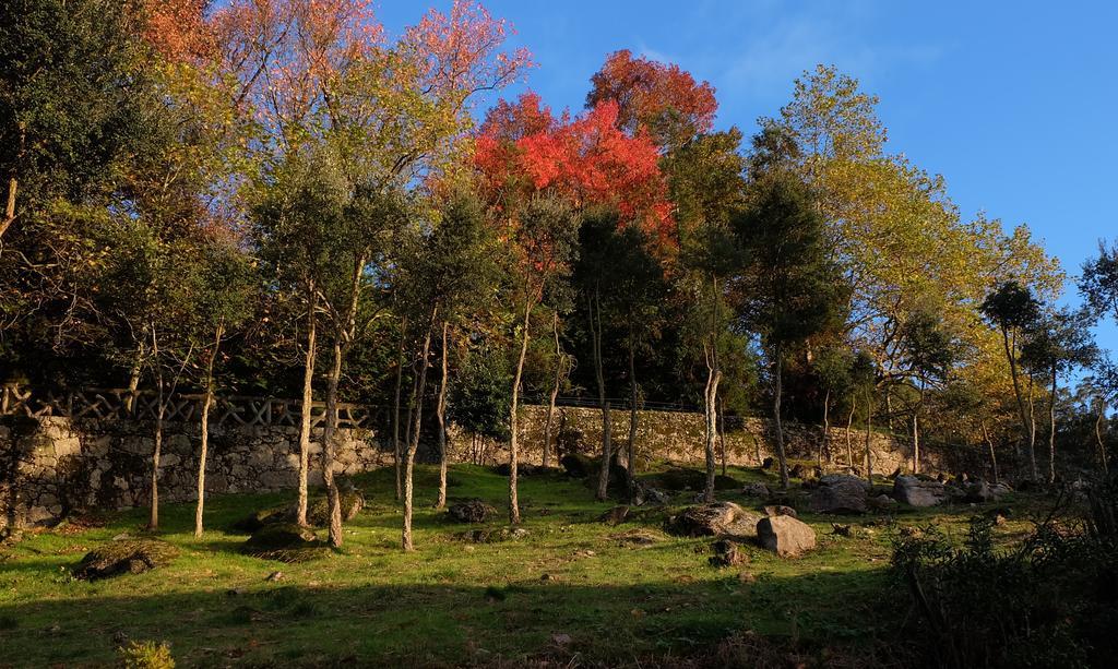 Quinta Das Leiras Santo Tirso Kültér fotó